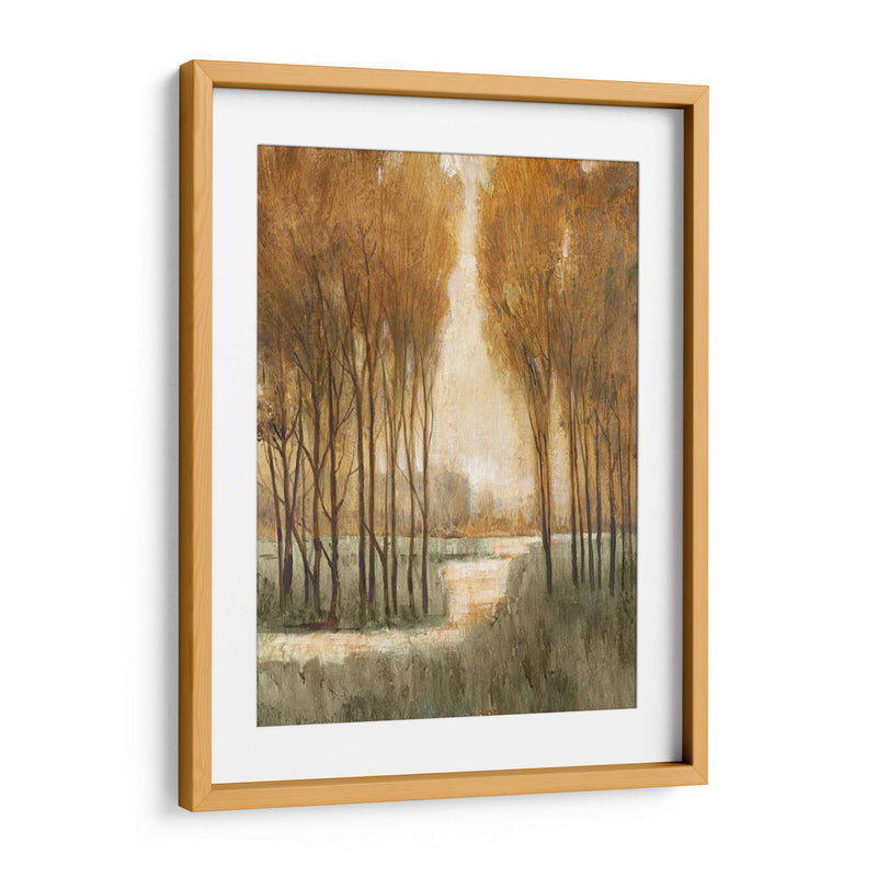 Bosque De Oro Personalizado I (Ceniza) - Tim OToole | Cuadro decorativo de Canvas Lab