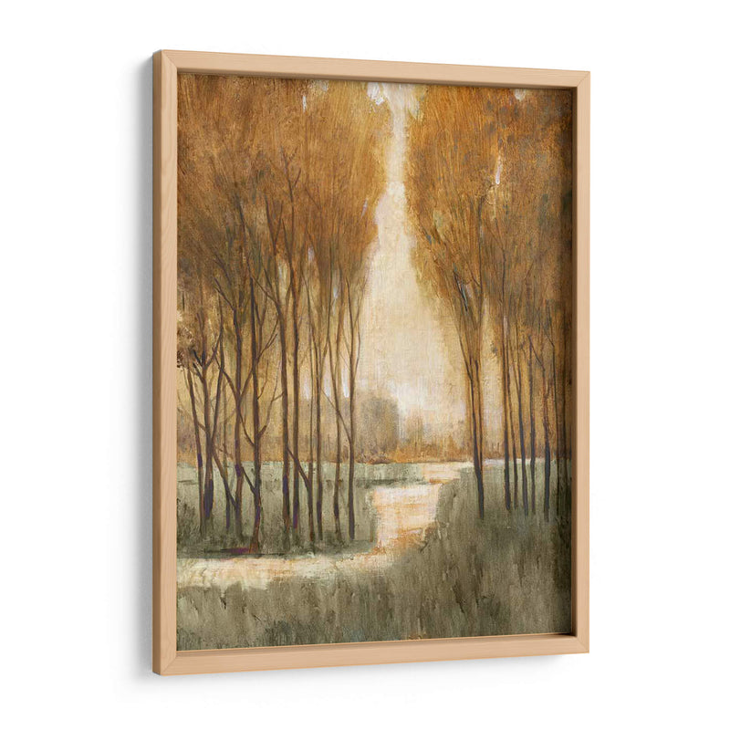 Bosque De Oro Personalizado I (Ceniza) - Tim OToole | Cuadro decorativo de Canvas Lab