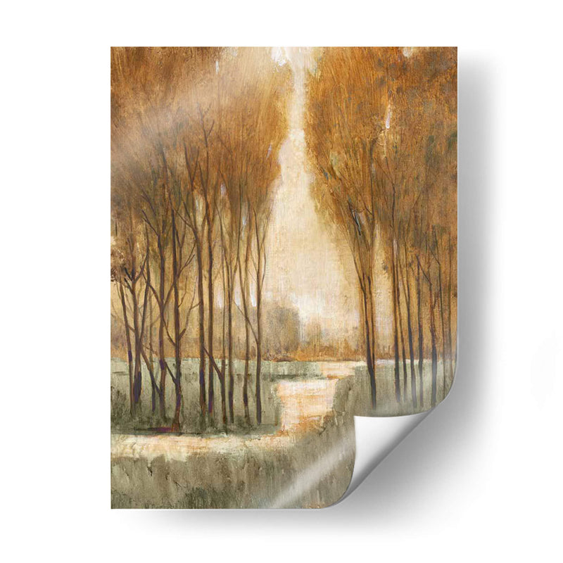 Bosque De Oro Personalizado I (Ceniza) - Tim OToole | Cuadro decorativo de Canvas Lab