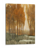 Bosque De Oro Personalizado Ii (Ceniza) - Tim OToole | Cuadro decorativo de Canvas Lab
