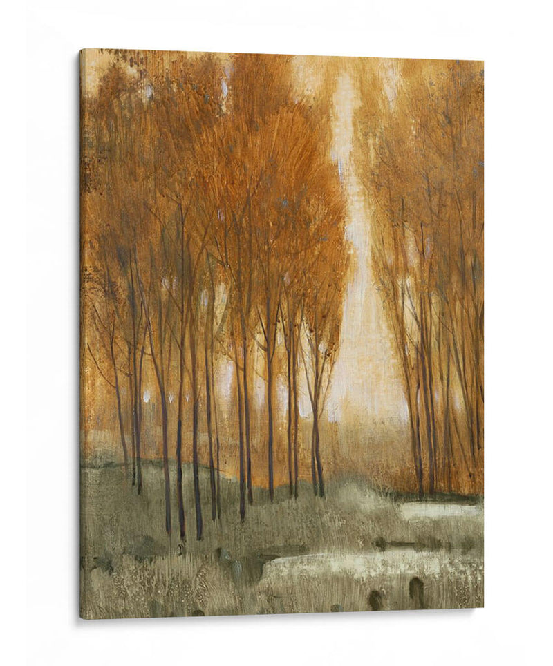 Bosque De Oro Personalizado Ii (Ceniza) - Tim OToole | Cuadro decorativo de Canvas Lab