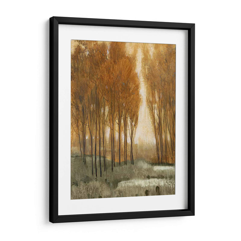 Bosque De Oro Personalizado Ii (Ceniza) - Tim OToole | Cuadro decorativo de Canvas Lab