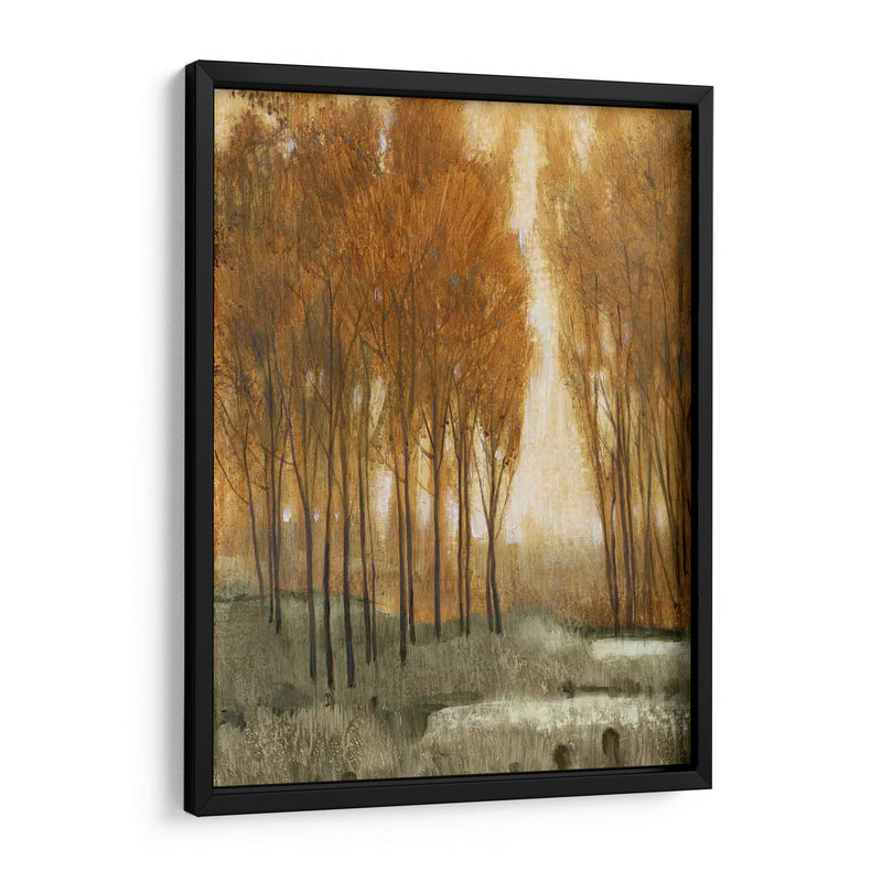 Bosque De Oro Personalizado Ii (Ceniza) - Tim OToole | Cuadro decorativo de Canvas Lab