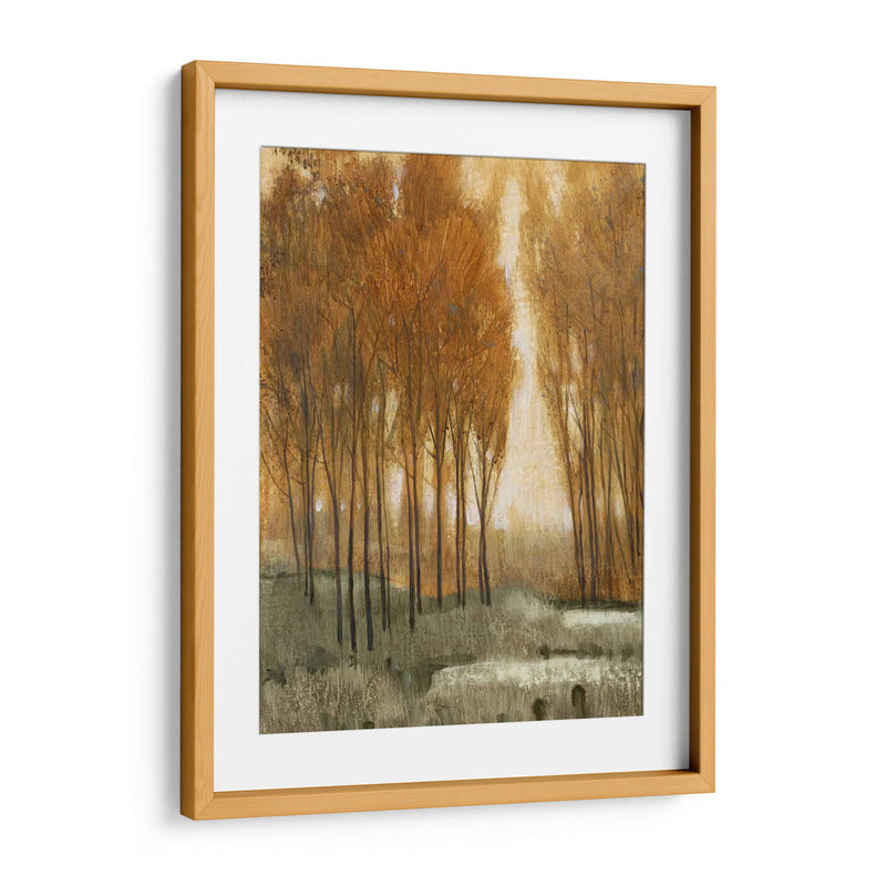 Bosque De Oro Personalizado Ii (Ceniza) - Tim OToole | Cuadro decorativo de Canvas Lab