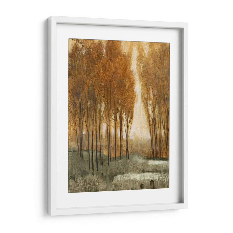 Bosque De Oro Personalizado Ii (Ceniza) - Tim OToole | Cuadro decorativo de Canvas Lab