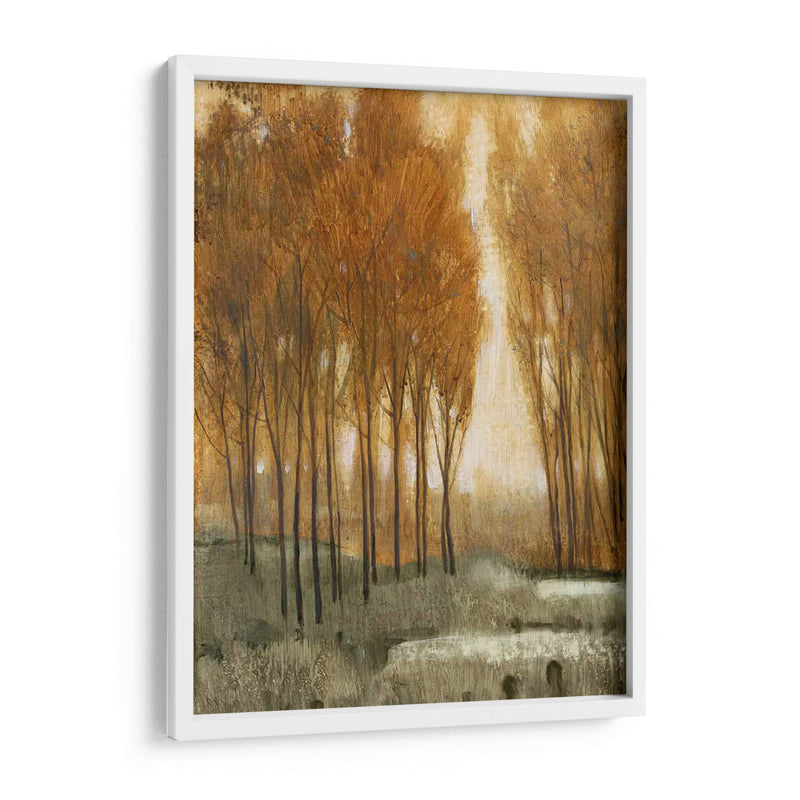 Bosque De Oro Personalizado Ii (Ceniza) - Tim OToole | Cuadro decorativo de Canvas Lab