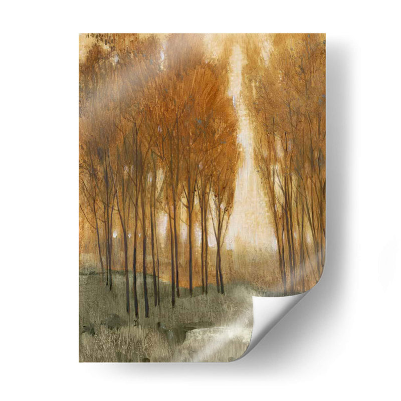 Bosque De Oro Personalizado Ii (Ceniza) - Tim OToole | Cuadro decorativo de Canvas Lab