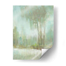 Niebla En La Glen Ii - Tim OToole | Cuadro decorativo de Canvas Lab