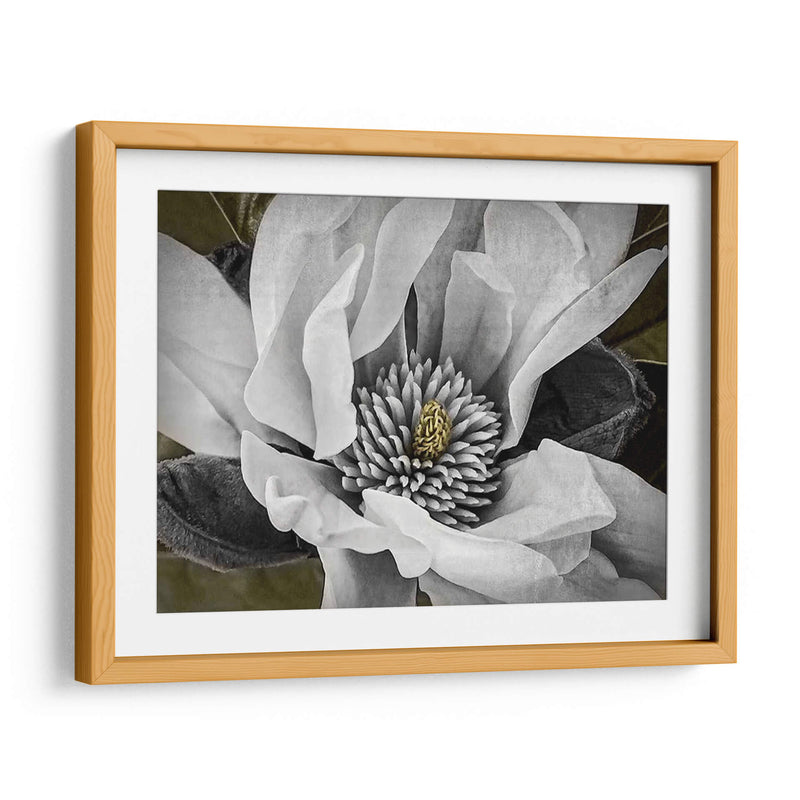 Magnolia Clásica Personalizada (Ceniza) - Rachel Perry | Cuadro decorativo de Canvas Lab