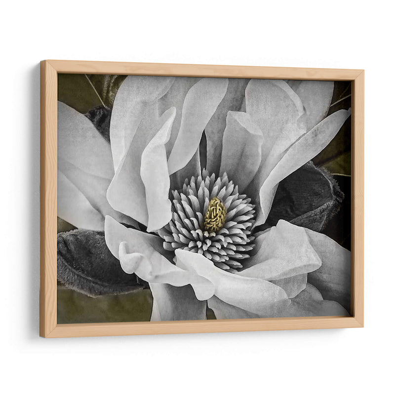 Magnolia Clásica Personalizada (Ceniza) - Rachel Perry | Cuadro decorativo de Canvas Lab