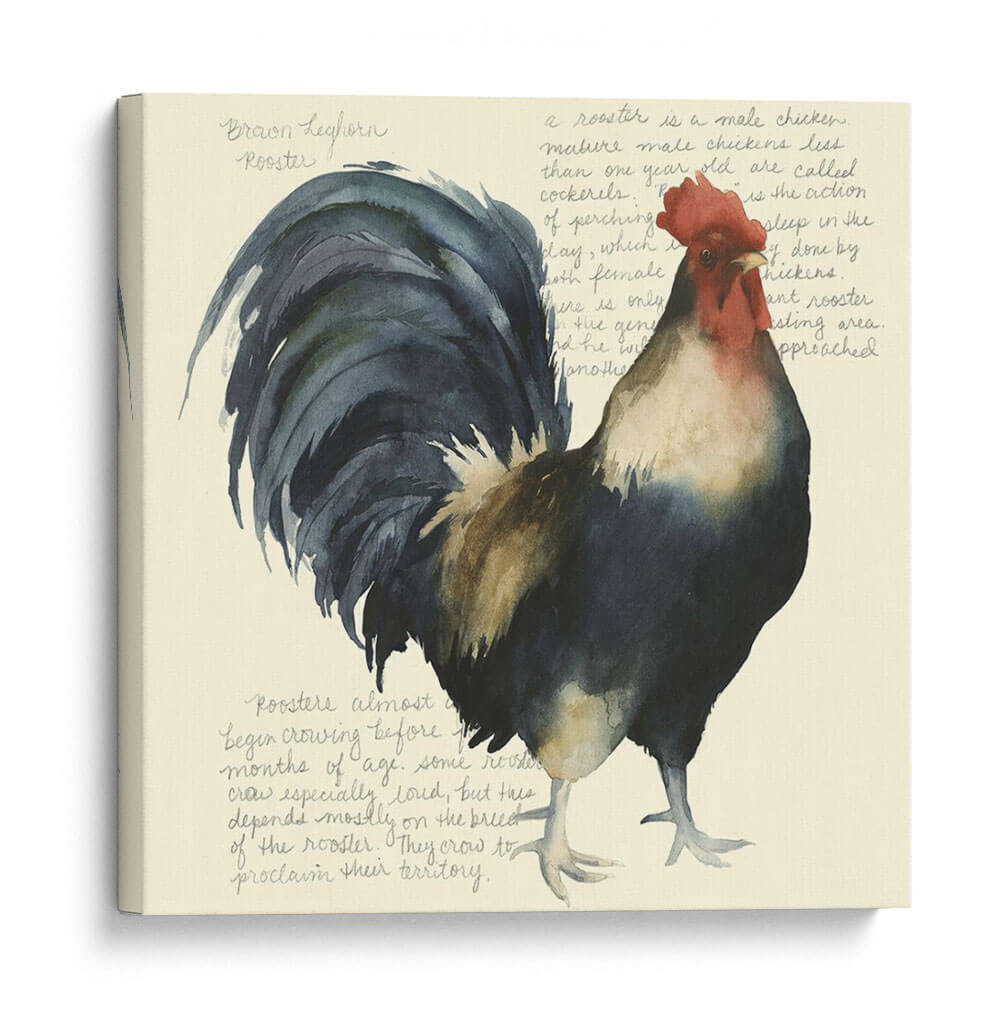 Gallos Personalizados Cuervo I (Ash) - Grace Popp | Cuadro decorativo de Canvas Lab