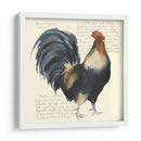 Gallos Personalizados Cuervo I (Ash) - Grace Popp | Cuadro decorativo de Canvas Lab