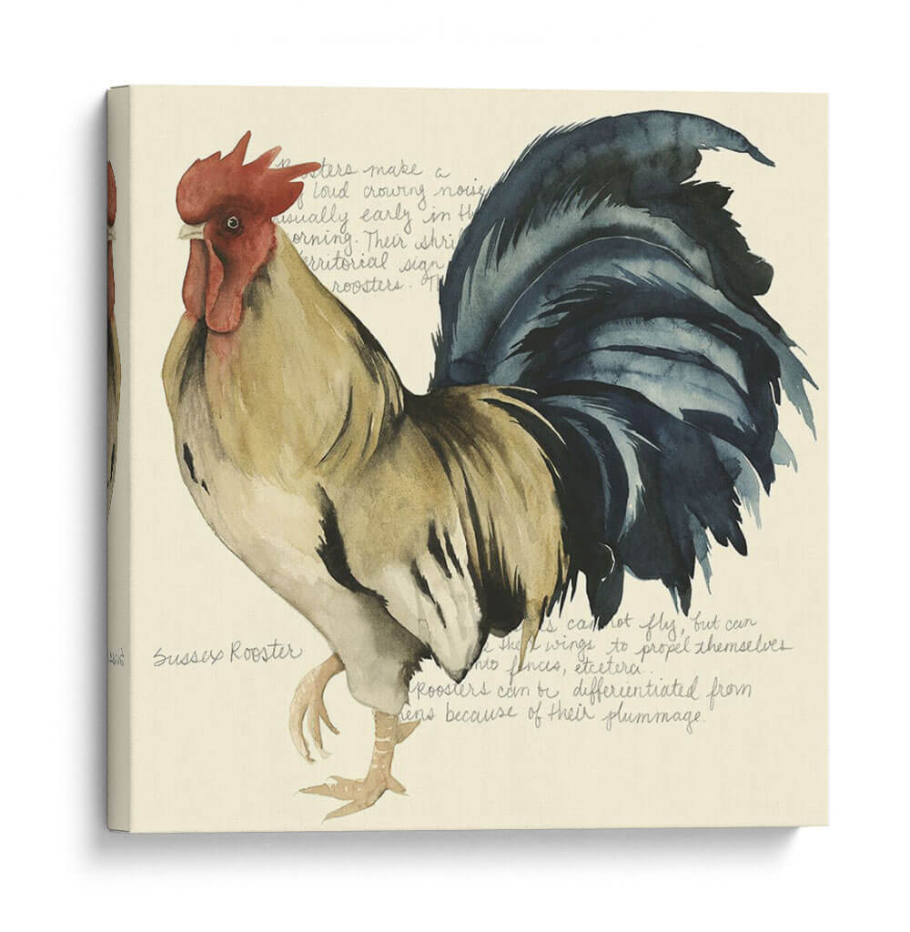 Gallos Personalizados Cuervo Ii (Ash) - Grace Popp | Cuadro decorativo de Canvas Lab