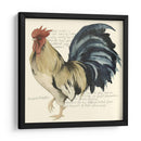 Gallos Personalizados Cuervo Ii (Ash) - Grace Popp | Cuadro decorativo de Canvas Lab