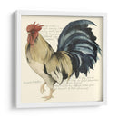 Gallos Personalizados Cuervo Ii (Ash) - Grace Popp | Cuadro decorativo de Canvas Lab