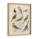Recolección Personalizada De Aves I (Ceniza) - G. Lubbert | Cuadro decorativo de Canvas Lab