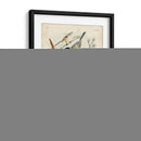 Recolección Personalizada De Aves Ii (Ash) - G. Lubbert | Cuadro decorativo de Canvas Lab