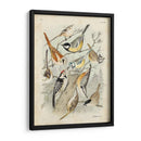 Recolección Personalizada De Aves Ii (Ash) - G. Lubbert | Cuadro decorativo de Canvas Lab