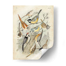 Recolección Personalizada De Aves Ii (Ash) - G. Lubbert | Cuadro decorativo de Canvas Lab