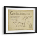 Antiguo Retriever De Oro (Ceniza) - Ethan Harper | Cuadro decorativo de Canvas Lab