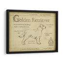 Antiguo Retriever De Oro (Ceniza) - Ethan Harper | Cuadro decorativo de Canvas Lab