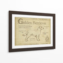 Antiguo Retriever De Oro (Ceniza) - Ethan Harper | Cuadro decorativo de Canvas Lab