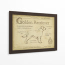 Antiguo Retriever De Oro (Ceniza) - Ethan Harper | Cuadro decorativo de Canvas Lab