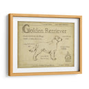 Antiguo Retriever De Oro (Ceniza) - Ethan Harper | Cuadro decorativo de Canvas Lab