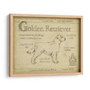 Antiguo Retriever De Oro (Ceniza) - Ethan Harper | Cuadro decorativo de Canvas Lab