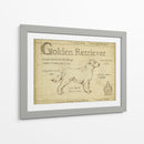 Antiguo Retriever De Oro (Ceniza) - Ethan Harper | Cuadro decorativo de Canvas Lab