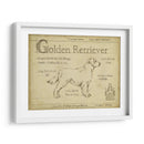 Antiguo Retriever De Oro (Ceniza) - Ethan Harper | Cuadro decorativo de Canvas Lab