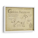 Antiguo Retriever De Oro (Ceniza) - Ethan Harper | Cuadro decorativo de Canvas Lab