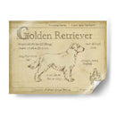 Antiguo Retriever De Oro (Ceniza) - Ethan Harper | Cuadro decorativo de Canvas Lab
