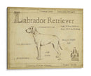 Antiguo Labrador Retriever (Ash) - Ethan Harper | Cuadro decorativo de Canvas Lab