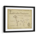 Antiguo Labrador Retriever (Ash) - Ethan Harper | Cuadro decorativo de Canvas Lab