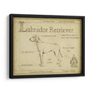 Antiguo Labrador Retriever (Ash) - Ethan Harper | Cuadro decorativo de Canvas Lab