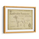 Antiguo Labrador Retriever (Ash) - Ethan Harper | Cuadro decorativo de Canvas Lab