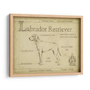 Antiguo Labrador Retriever (Ash) - Ethan Harper | Cuadro decorativo de Canvas Lab
