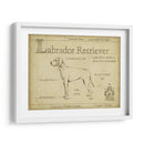 Antiguo Labrador Retriever (Ash) - Ethan Harper | Cuadro decorativo de Canvas Lab