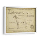 Antiguo Labrador Retriever (Ash) - Ethan Harper | Cuadro decorativo de Canvas Lab