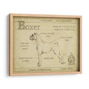 Boxeador Antiguo (Ceniza) - Ethan Harper | Cuadro decorativo de Canvas Lab