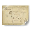 Boxeador Antiguo (Ceniza) - Ethan Harper | Cuadro decorativo de Canvas Lab