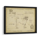 Pug Antiguo (Ceniza) - Ethan Harper | Cuadro decorativo de Canvas Lab