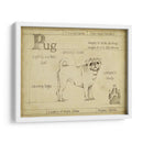 Pug Antiguo (Ceniza) - Ethan Harper | Cuadro decorativo de Canvas Lab