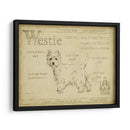 Antiguo Westie (Ash) - Ethan Harper | Cuadro decorativo de Canvas Lab