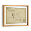 Antiguo Westie (Ash) - Ethan Harper | Cuadro decorativo de Canvas Lab