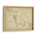 Antiguo Westie (Ash) - Ethan Harper | Cuadro decorativo de Canvas Lab