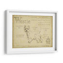 Antiguo Westie (Ash) - Ethan Harper | Cuadro decorativo de Canvas Lab