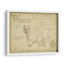 Antiguo Westie (Ash) - Ethan Harper | Cuadro decorativo de Canvas Lab