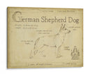 Antiguo Pastor Alemán (Ceniza) - Ethan Harper | Cuadro decorativo de Canvas Lab
